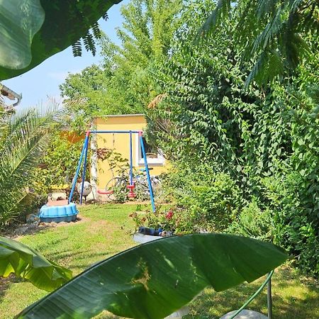 Paradise-Garden-扎马迪 外观 照片
