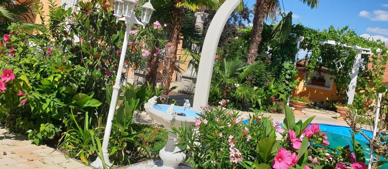 Paradise-Garden-扎马迪 外观 照片