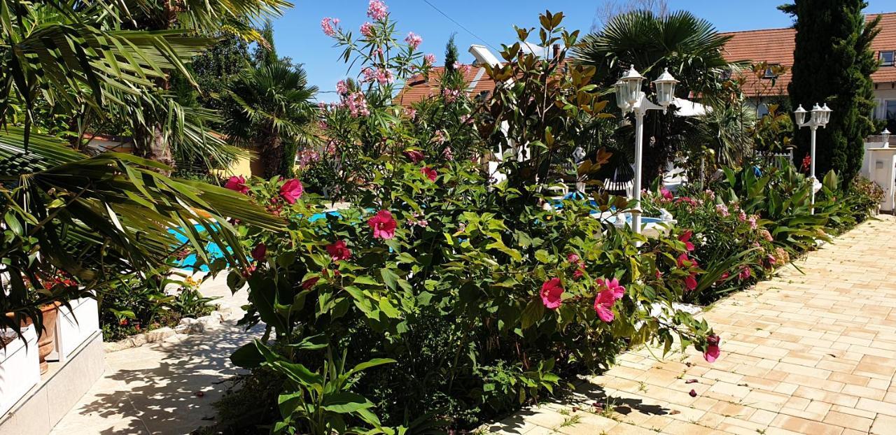 Paradise-Garden-扎马迪 外观 照片